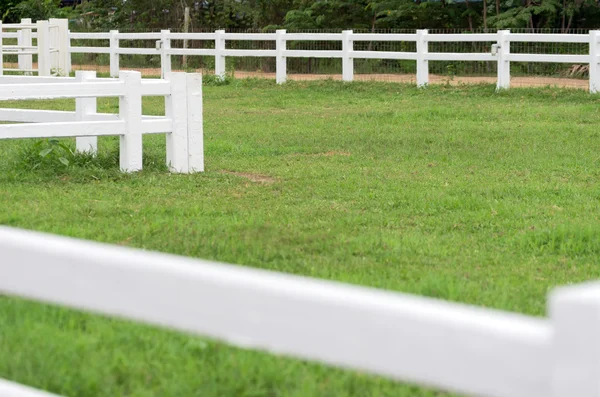 Paardenstallen — Stockfoto