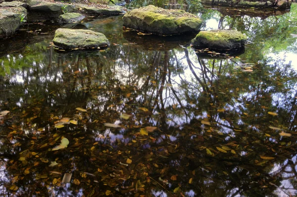 Teich im Garten — Stockfoto
