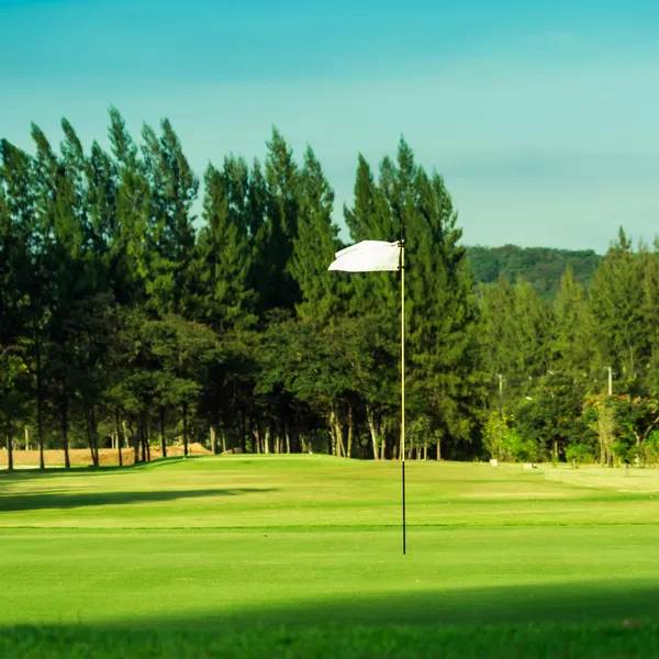 Golf field — Stock Photo, Image