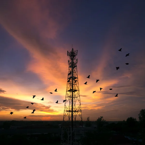 Silhuetas torre de telecomunicações — Fotografia de Stock