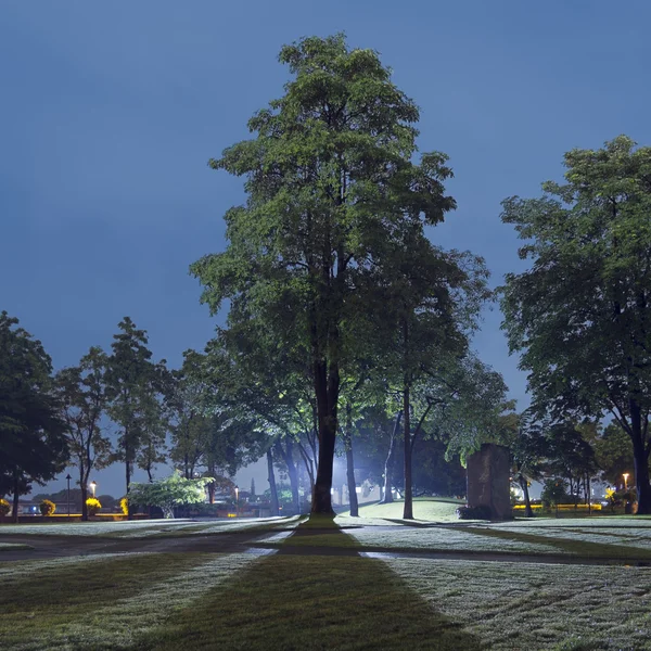 Night in the park — Stock Photo, Image