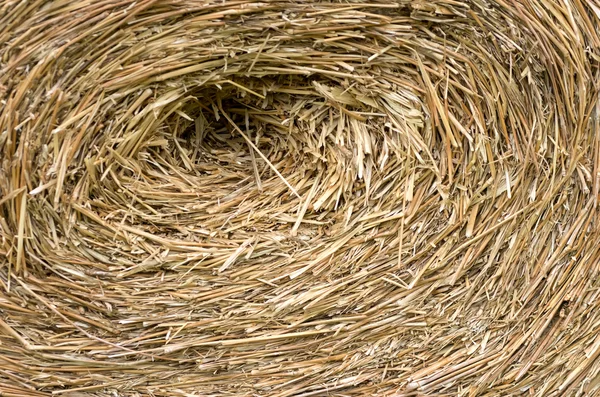 Straw bales texture. — Stock Photo, Image