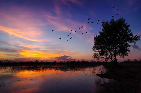 Paesaggio al tramonto . — Foto Stock