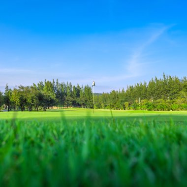 Golf alanı