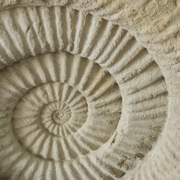 Текстура камня
