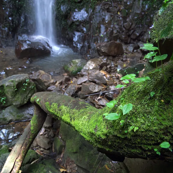 Waterfall — Stock Photo, Image