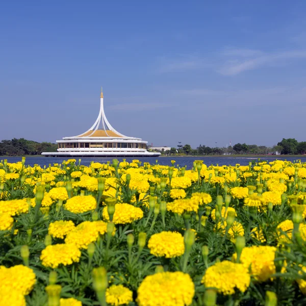 Kongelig have Rama IX - Stock-foto