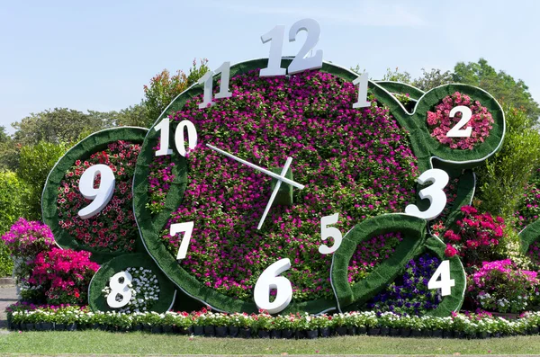 Decoración de flores — Foto de Stock