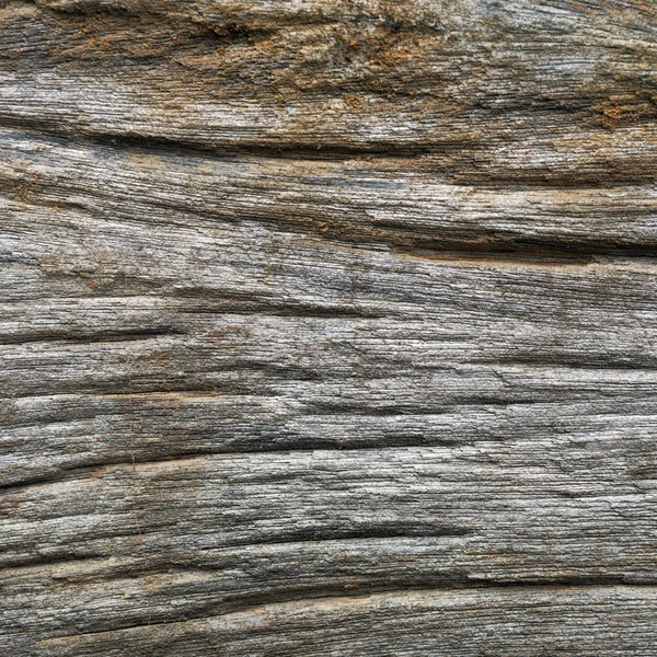 Textura madera vieja — Foto de Stock