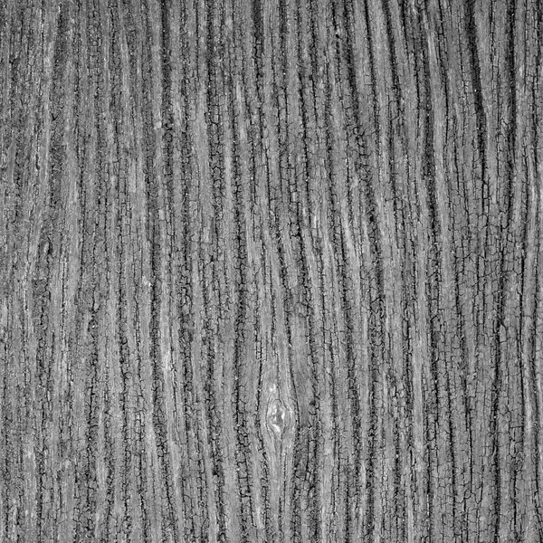 Stara tekstura drewniana — Zdjęcie stockowe