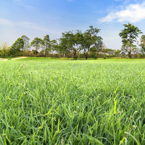 Campo de golfe — Fotografia de Stock