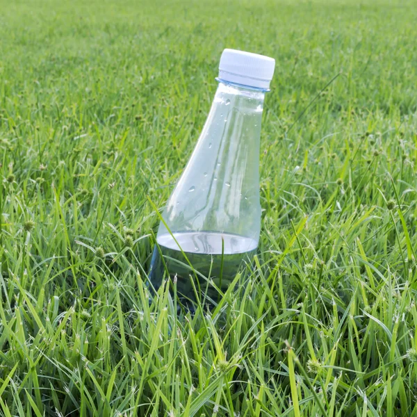 Wasserflaschen — Stockfoto