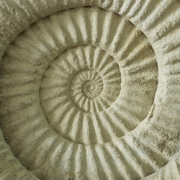 Текстура камня
