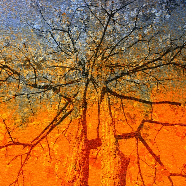 Texture di carta con albero astratto . — Foto Stock