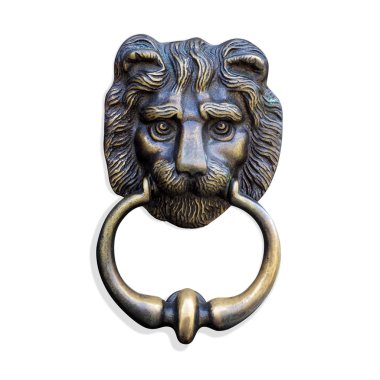 Aslan kolları başkanı