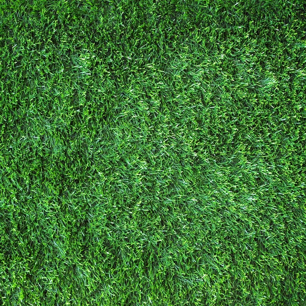 Tekstur rumput hijau — Stok Foto