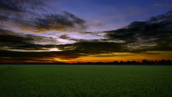 Beau ciel Lever de soleil — Photo