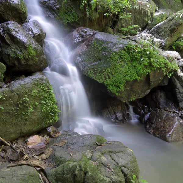 Wasserfall — Stockfoto