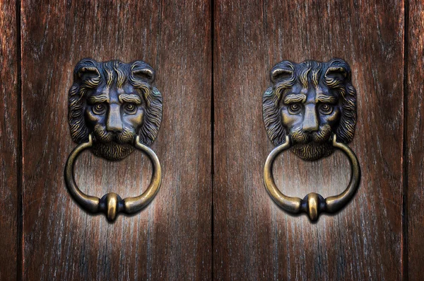 Lion head handles — Stock Photo, Image