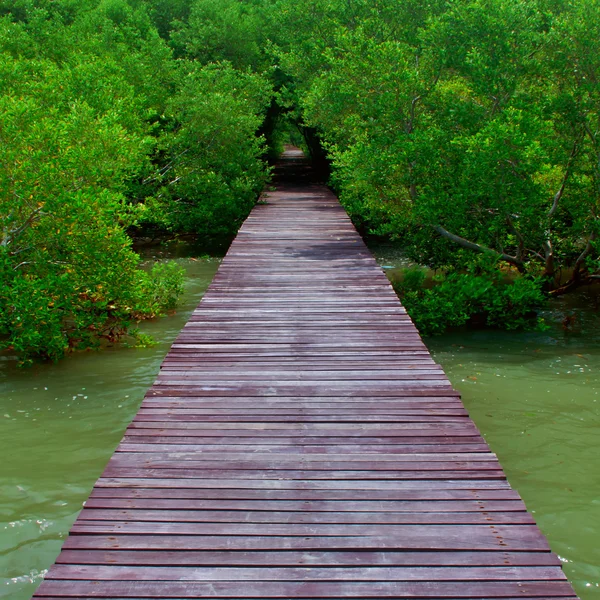 Puente de madera —  Fotos de Stock