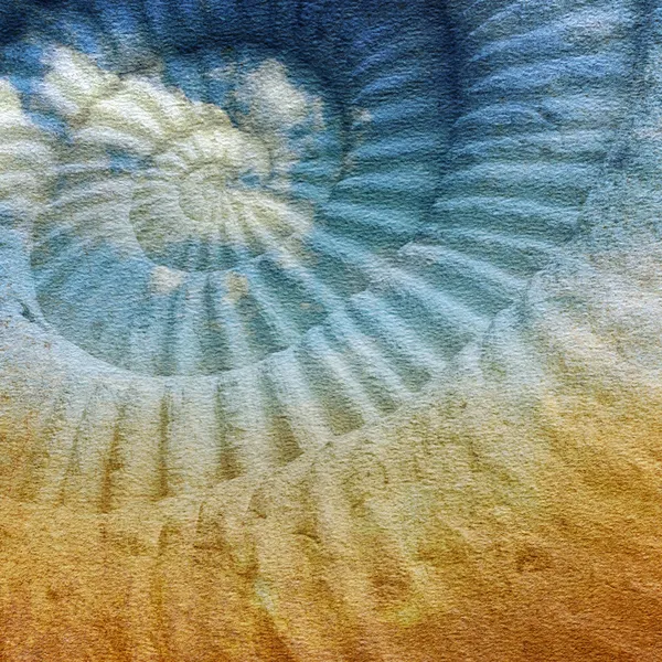 Texture du papier avec ammonite fossile préhistorique . — Photo