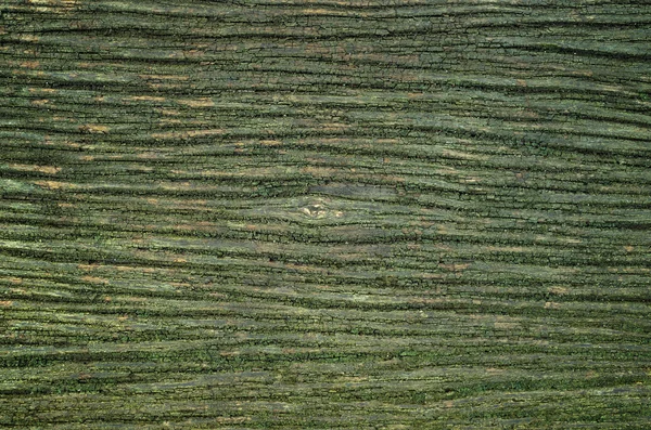 Eski moss ile ahşap — Stok fotoğraf