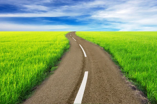 Road between green fields — Stock Photo, Image