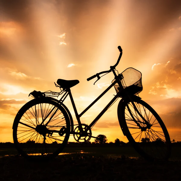 Silhouette della bici — Foto Stock