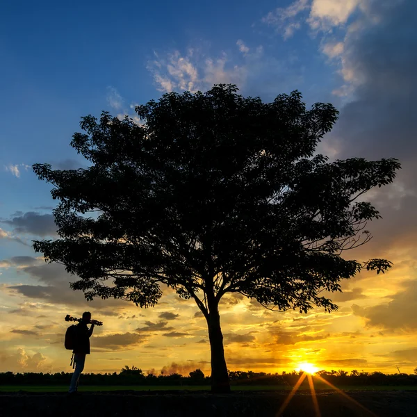Fotós a fának a közelében — Stock Fotó