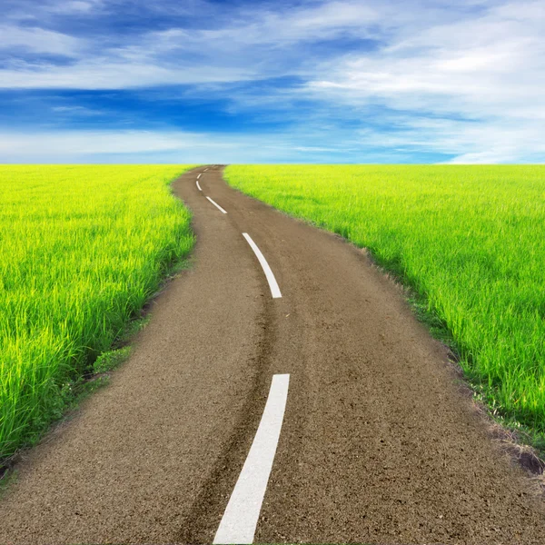 Road between green fields — Stock Photo, Image