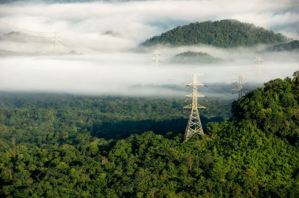 Letecký Pohled Vysílací Věž Zeleném Lese Krásná Ranní Jemná Mlha — Stock fotografie