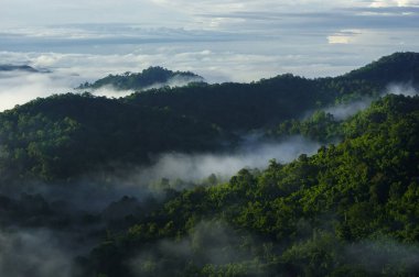 Sabah ormanında yeşil dağları olan hava manzaralı güzel sis denizi. Pang Puay, Mae Moh, Lampang, Tayland.