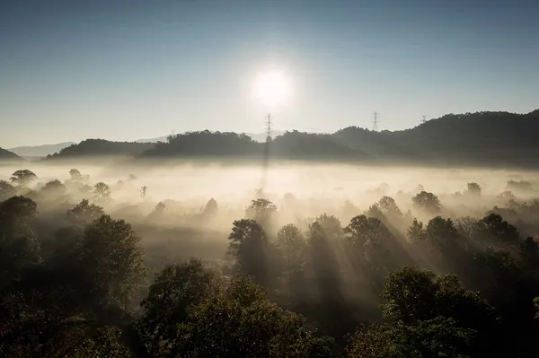 Повітряний Вид Вежі Передачі Зеленому Лісі Красивий Ранковий Гладкий Туман — стокове фото