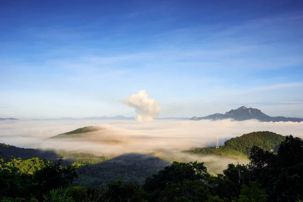 Bella Nebbia Nella Foresta Del Mattino Con Montagne Verdi Palo — Foto Stock