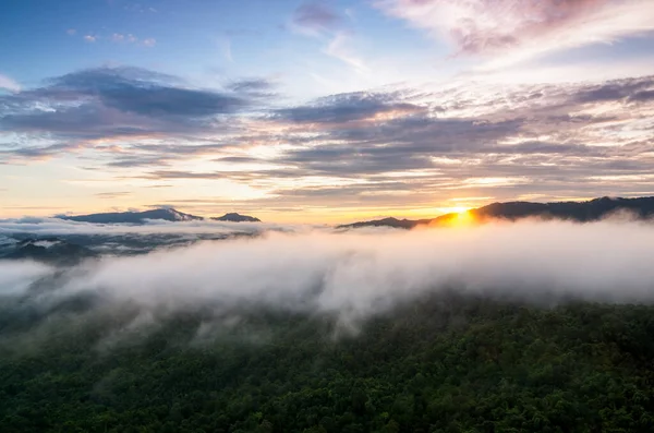 Uitzicht Vanuit Lucht Prachtige Zee Van Mist Het Ochtendbos Met — Stockfoto