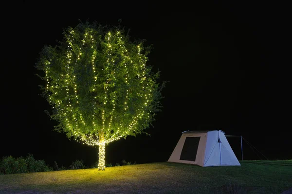 Bela Árvore Adornam Luzes Lado Acampamento Tenda Noite Belas Estrelas — Fotografia de Stock