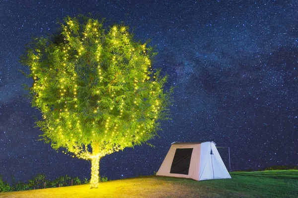 Beautiful Tree Adorn Lights Tent Camping Night Milky Way Galaxy — Fotografia de Stock