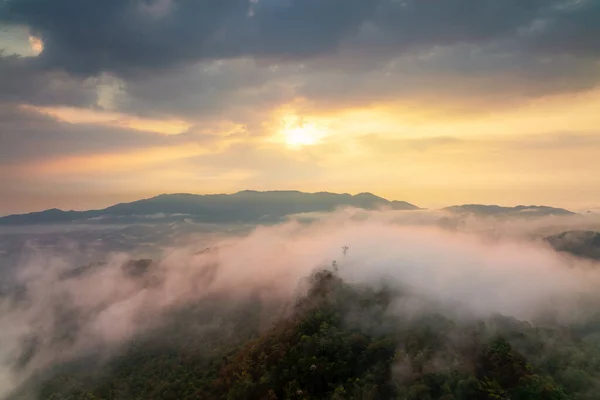 Beau Brouillard Dans Forêt Matin Avec Des Montagnes Verdoyantes Pang — Photo