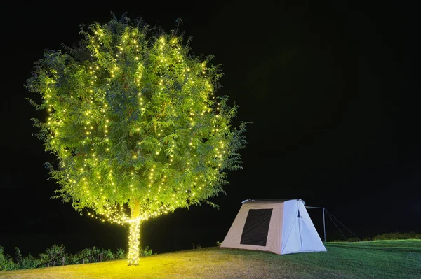Bela Árvore Adornam Luzes Lado Acampamento Tenda Noite Belas Estrelas — Fotografia de Stock