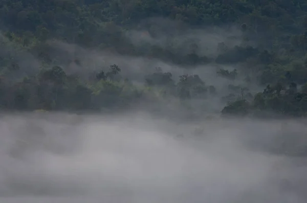 Vista Aérea Bosque Lluvioso Niebla Matutina Pang Puai Mae Moh — Foto de Stock