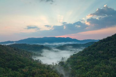 Sabah ormanında sis ve yeşil dağlar. Pang Puai, Mae Moh, Lampang, Tayland.