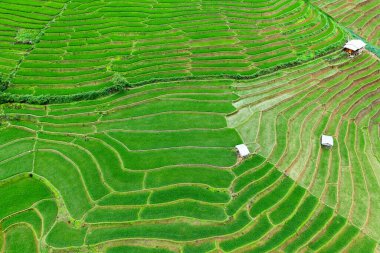 Aerial view Beautiful of sunrise with cloud scapse on high mountains. rice terraces. Baan Pa Pong Pieng, Mae jam Chiang mai.	