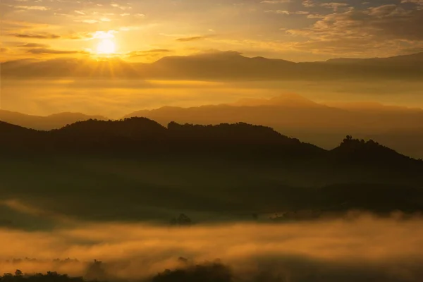 Bella Nebbia Luce Dorata Nella Foresta Del Mattino Con Montagne — Foto Stock