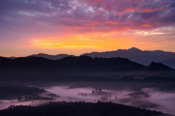 Вид Воздуха Прекрасные Утренние Пейзажи Золотой Свет Восход Солнца Туман — стоковое фото