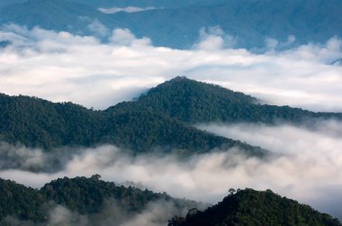 Aerial view Beautiful morning view of sunrise, golden light and mist flowing on the highland fields, View Point, Mon Ngow, Chiang Mai, Thailand.