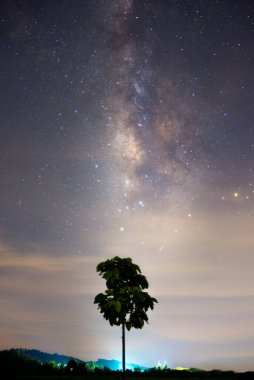 Tree under Milky Way Galaxy Lampang Thailand, Universe galaxy milky way time lapse, dark milky way, galaxy view, star lines, timelapse night sky stars on sky background. 