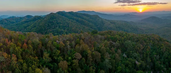 Vista Aerea Fitta Foresta Autunno Foglie Autunno Nella Foresta Pangpuai — Foto Stock