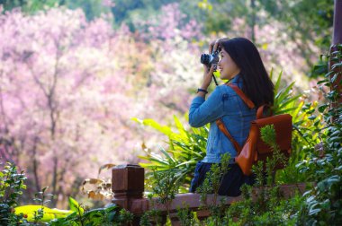 Klasik fotoğraf makinesi kullanan genç, güzel Asyalı bir gezgin. Bahar kiraz çiçeklerinin ortasında gülümseyen bir mutlu fotoğraf çek. Seyahat yaşam tarzı, dünya gezgini, Asya seyahat fikri..
