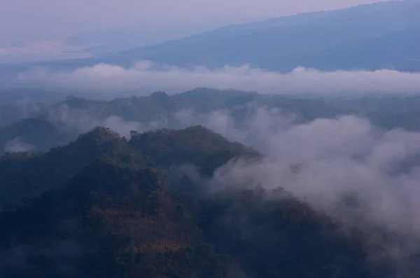 Brouillard Dans Forêt Matin Avec Des Montagnes Vertes Pang Puai — Photo