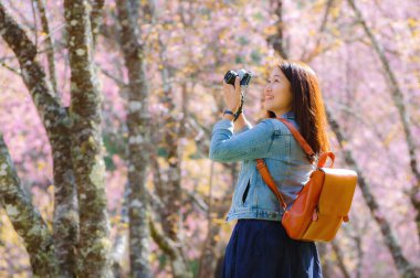 Klasik fotoğraf makinesi kullanan genç, güzel Asyalı bir gezgin. Bahar kiraz çiçeklerinin ortasında gülümseyen bir mutlu fotoğraf çek. Seyahat yaşam tarzı, dünya gezgini, Asya seyahat fikri..